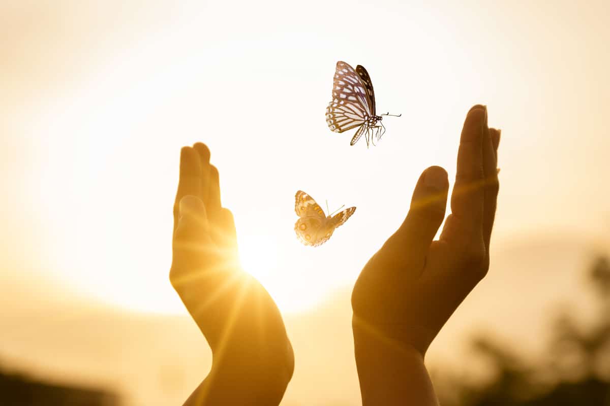 Overcoming Limiting Beliefs